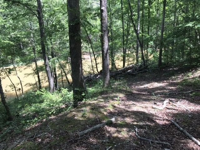 0 Mandy Drive, Wedowee, AL 36278